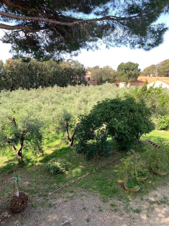 San Giuseppe Casa Per Ferie Hotel Quercianella Bagian luar foto